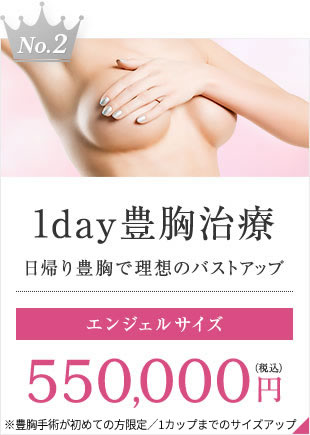 【No.2 1day豊胸治療】日帰り豊胸で理想のバストアップ[エンジェルサイズ]550,000円（税込）