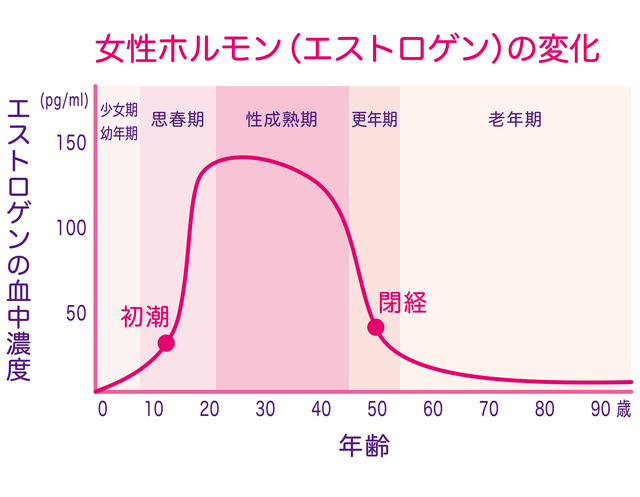 女性ホルモン（エストロゲン）の変化の図