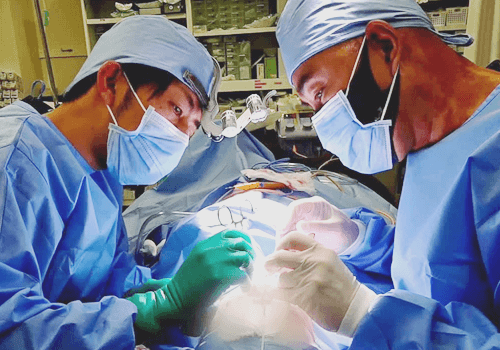 東京美容外科の鼻形成が選ばれる理由