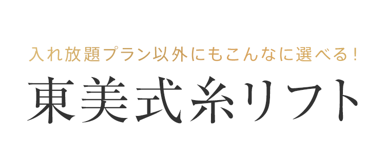 入れ放題プラン以外にもこんなに選べる! 東美式糸リフト