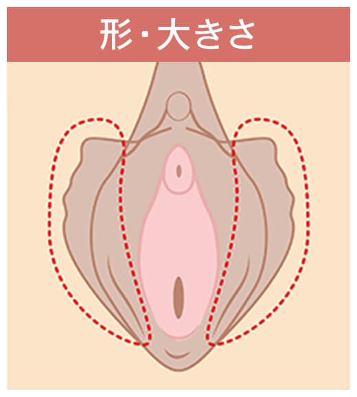 形・大きさ