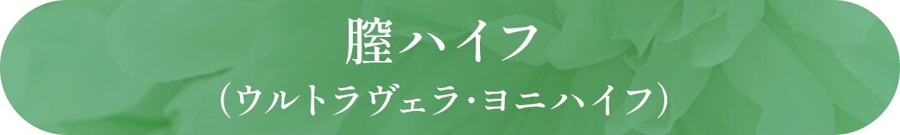 膣ハイフ（ウルトラヴェラ･ヨニハイフ）